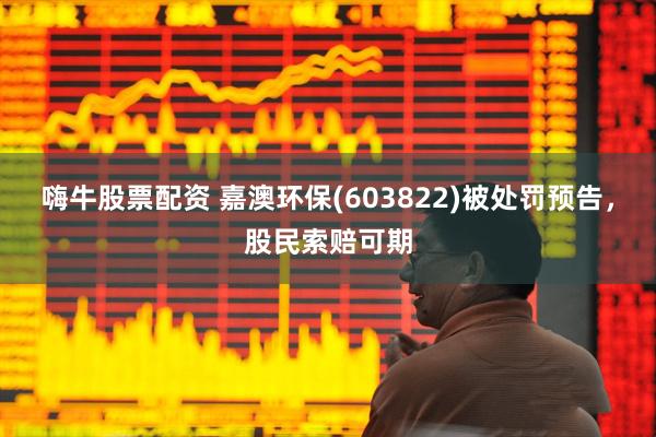嗨牛股票配资 嘉澳环保(603822)被处罚预告，股民索赔可期